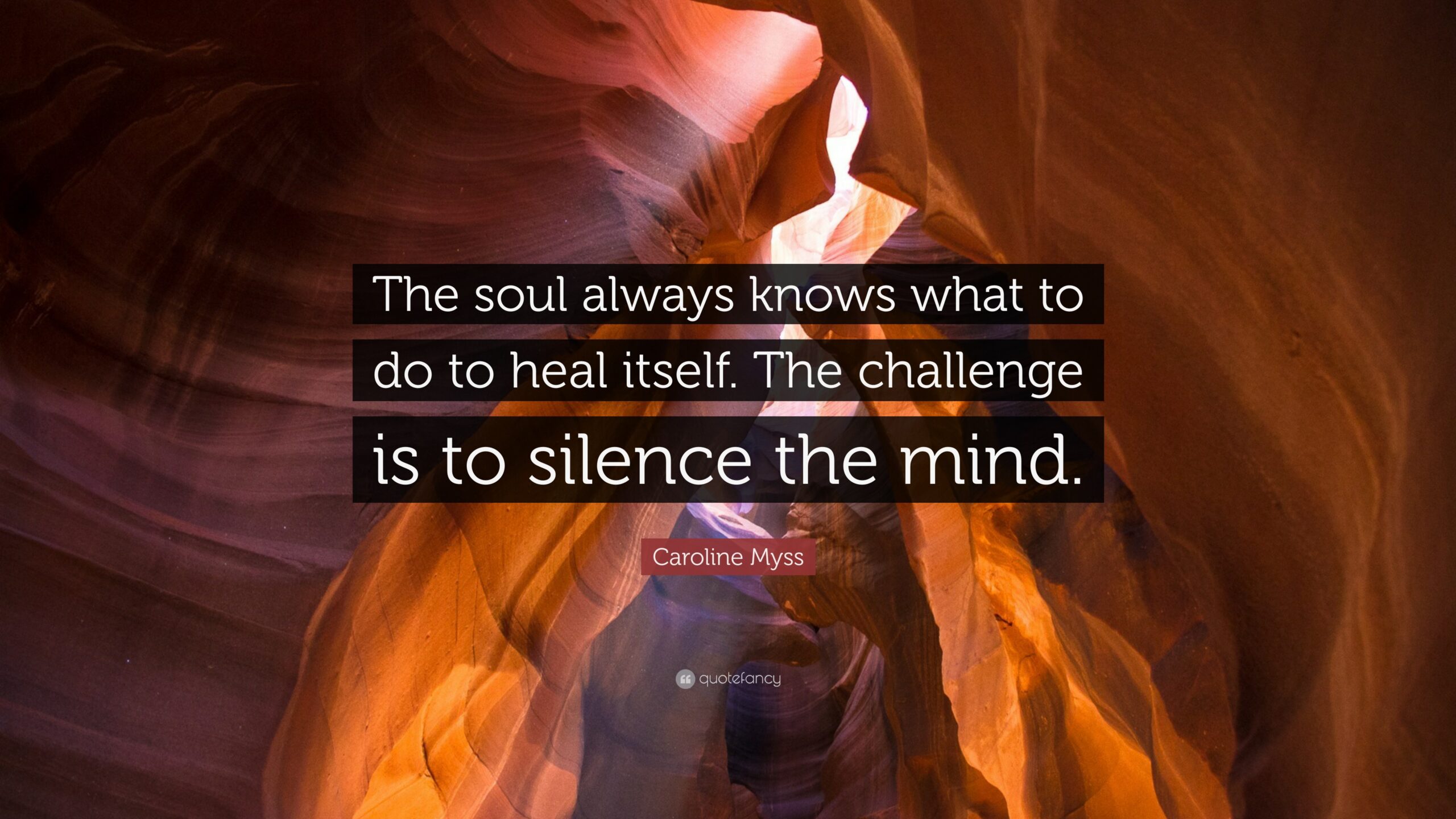 The-soul-always-knows-what-to-do-to-heal
