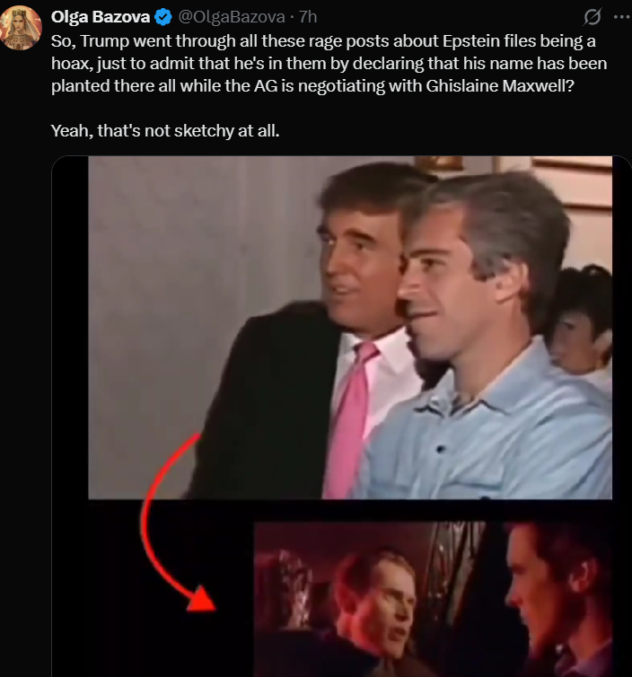 trump and epstein image